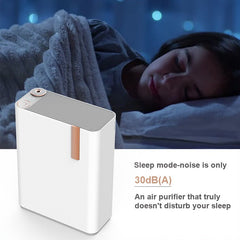 Advanced Dual-Filter Air Purifier