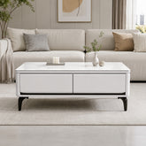 Elaris Coffee Table with Storage